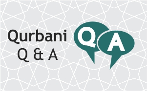 qurbani qna